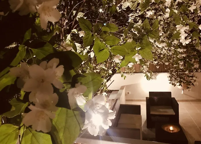 Aruna Suites